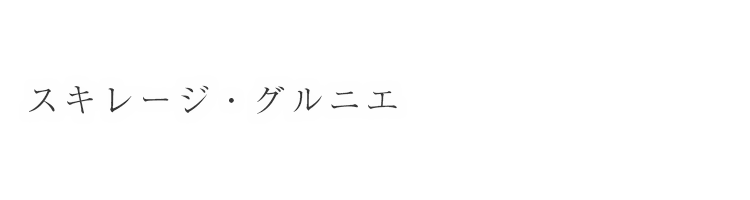 スキレージ（スキップフロア＆床下収納）