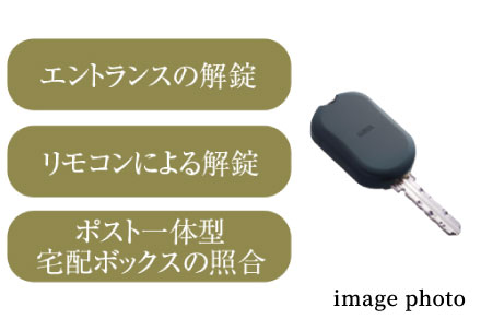 Image Photo