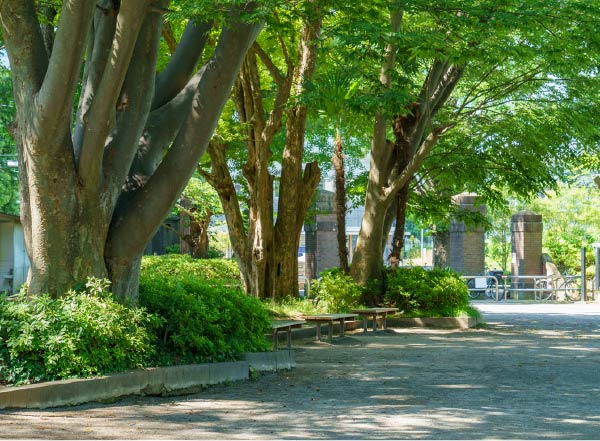 松戸中央公園（徒歩14分／約1,050m）