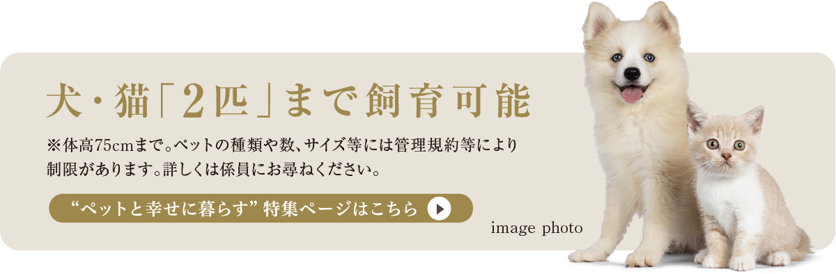 犬・猫「2匹」まで飼育可能