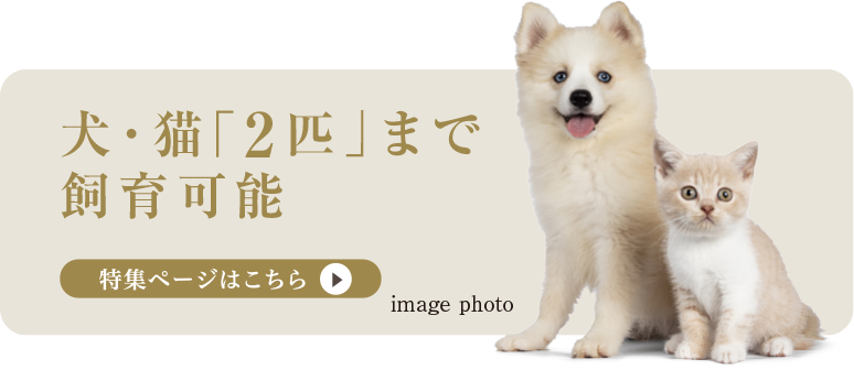 犬・猫「2匹」まで飼育可能
