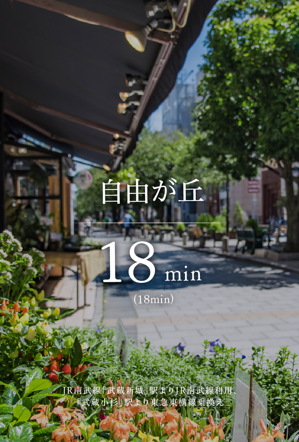 自由が丘