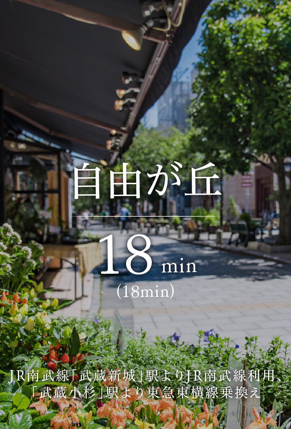 自由が丘