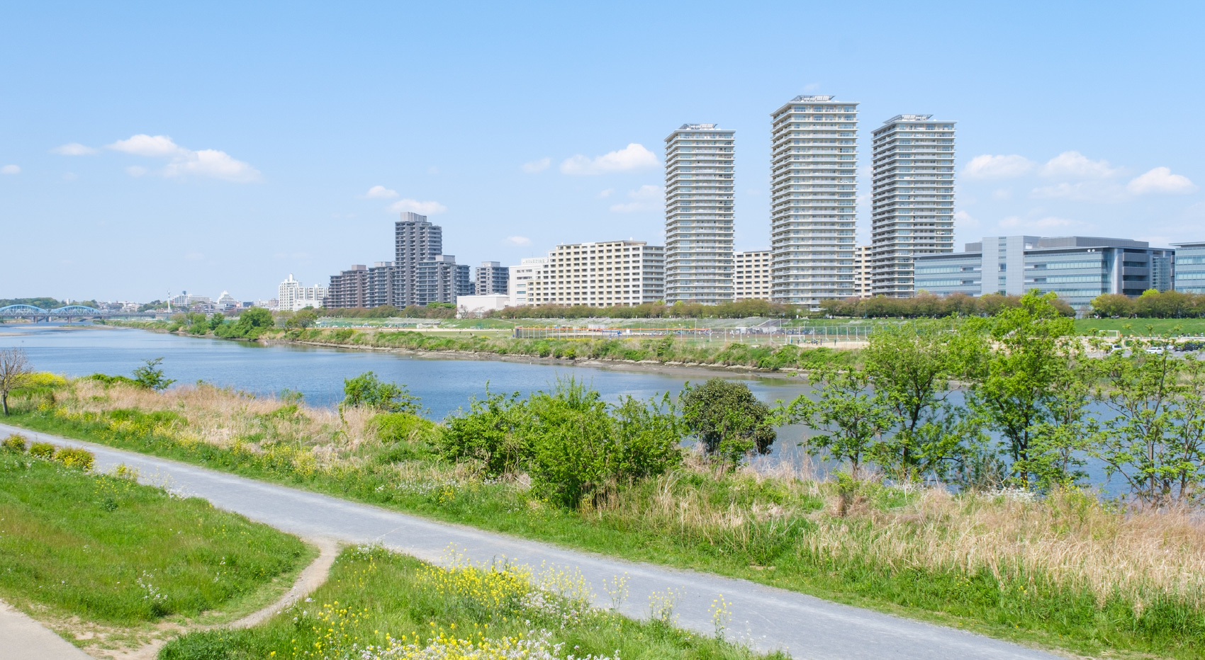 多摩川