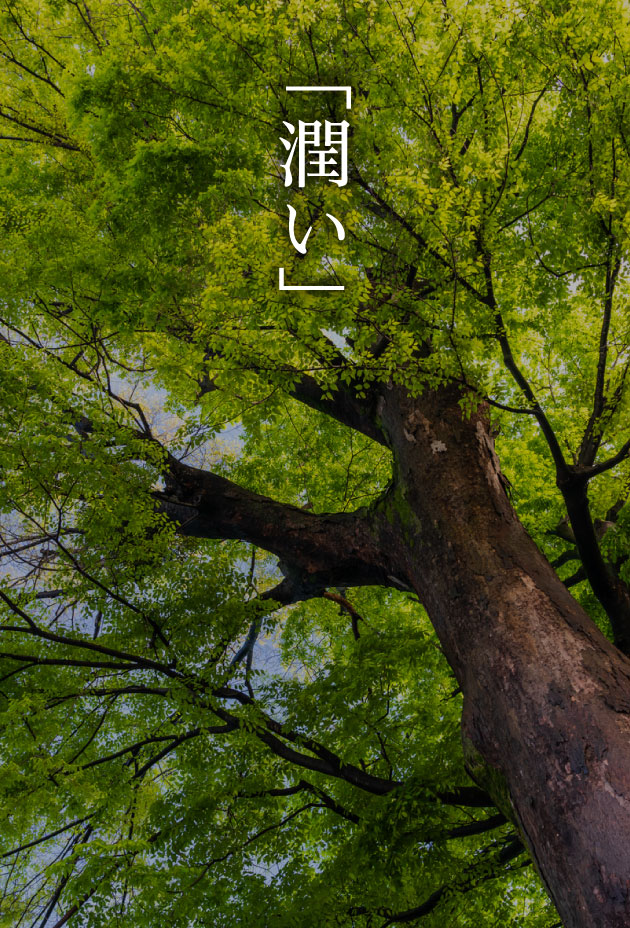 潤い image photo
