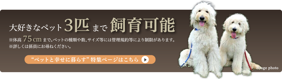 ペットと幸せに暮らす特集ページはこちら