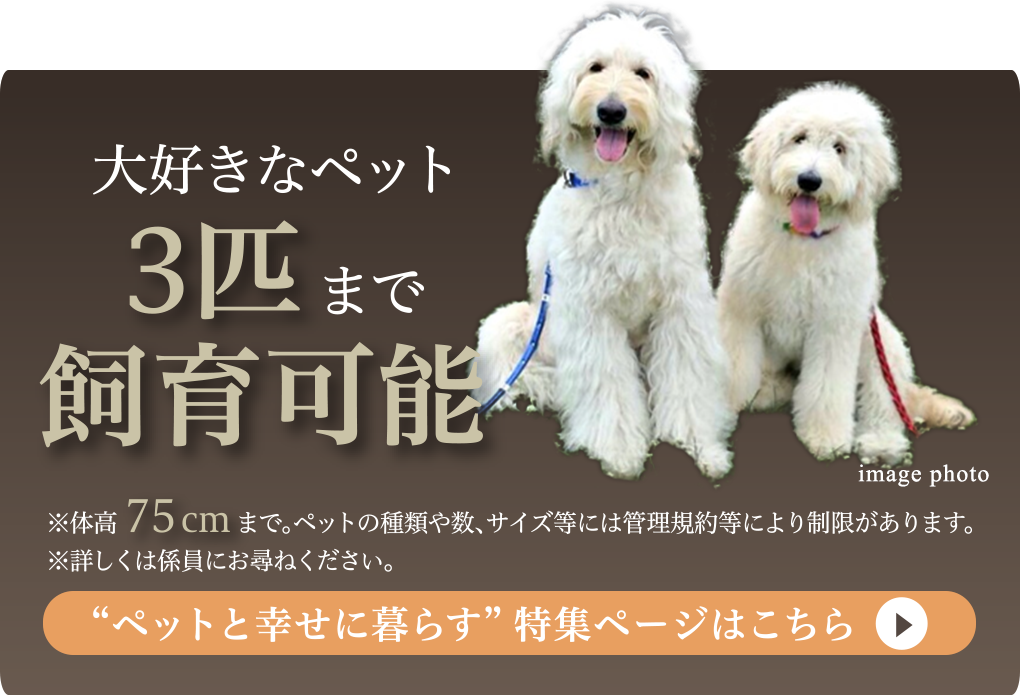 ペットと幸せに暮らす特集ページはこちら