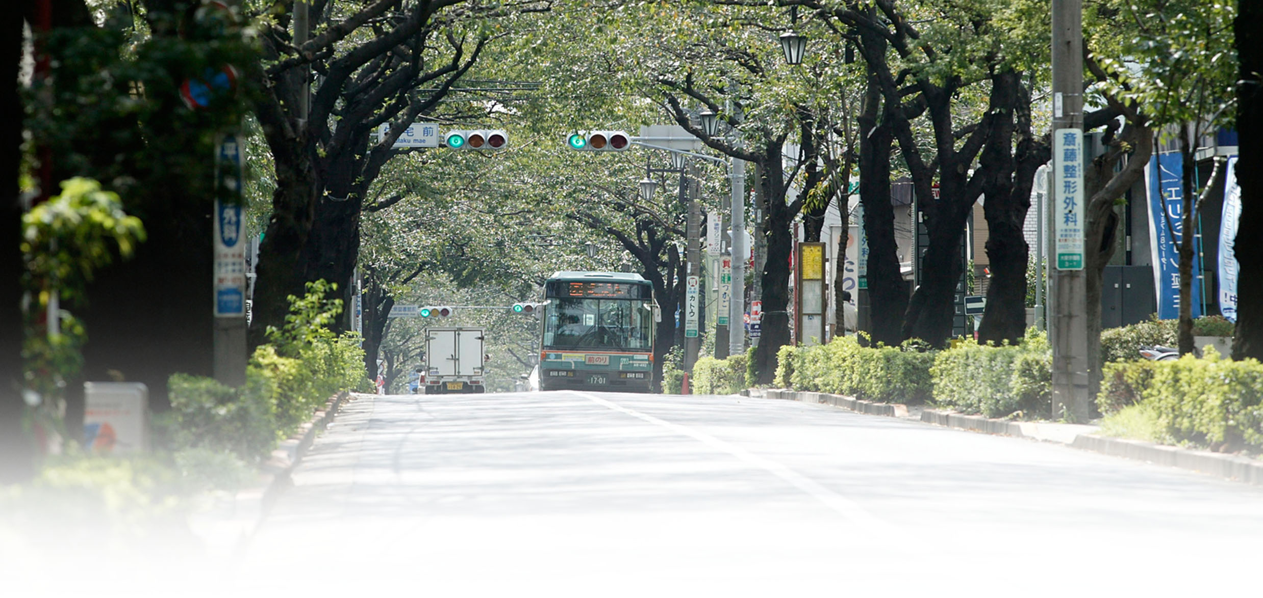 Image Photo 大泉学園通り