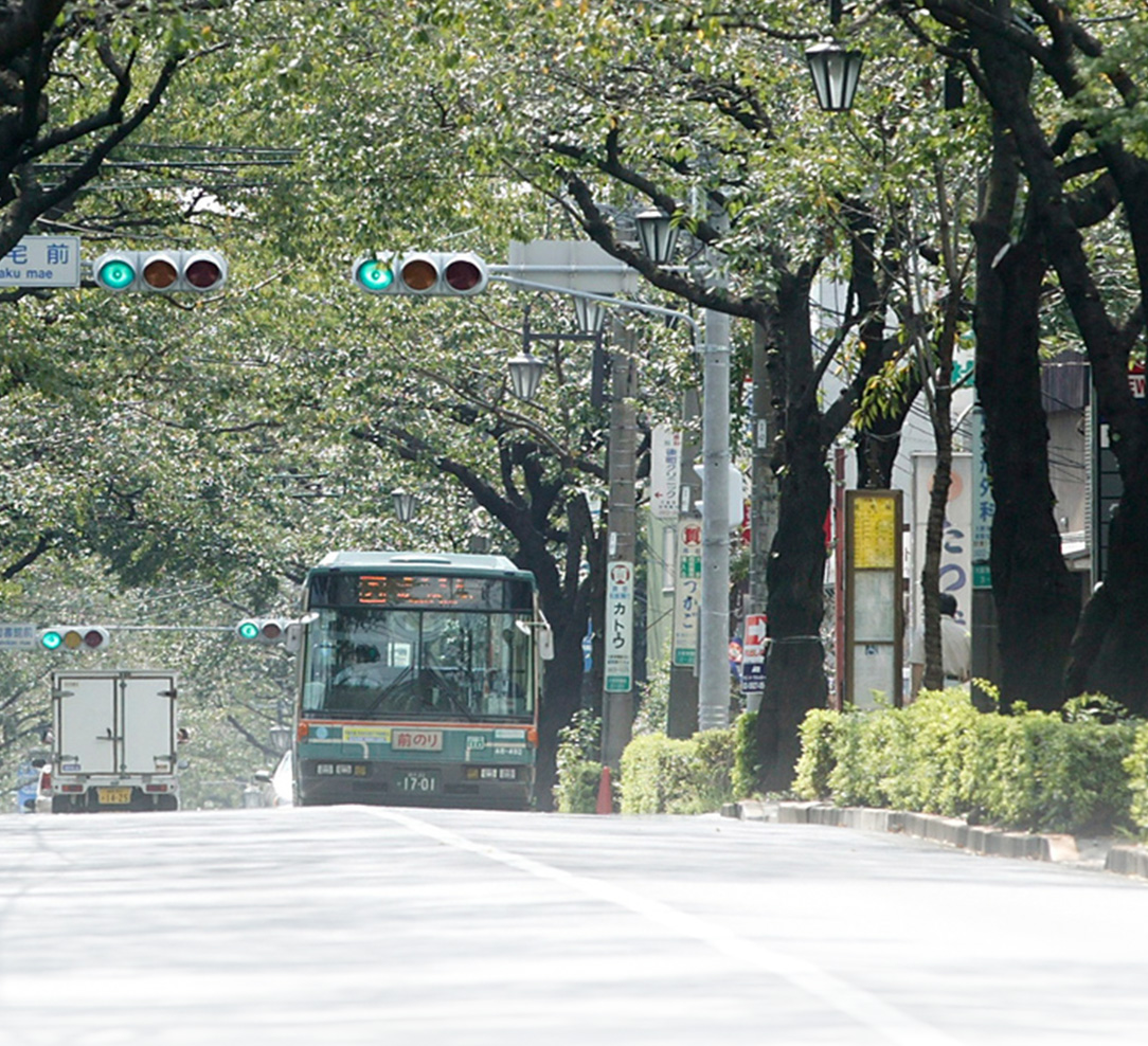 Image Photo 大泉学園通り