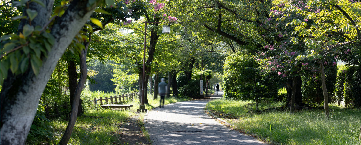 白幡緑道