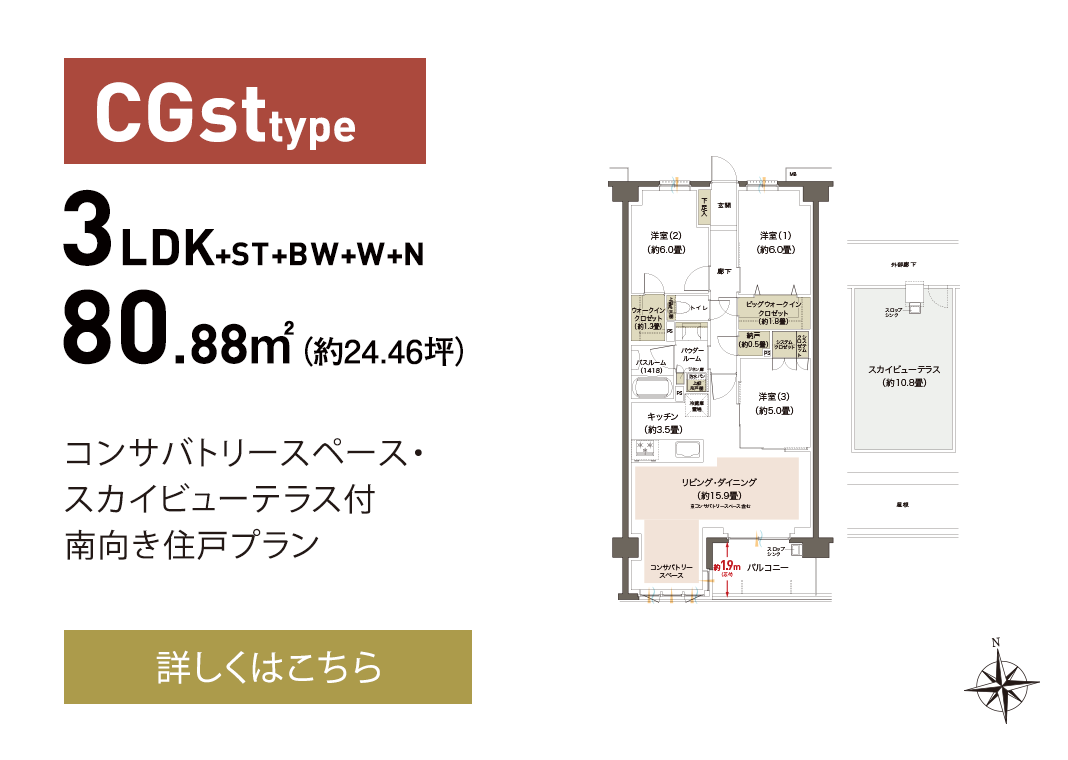 CGst type
