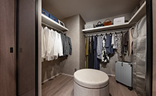 Big Walk in Closet