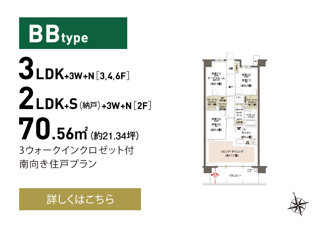 BB type