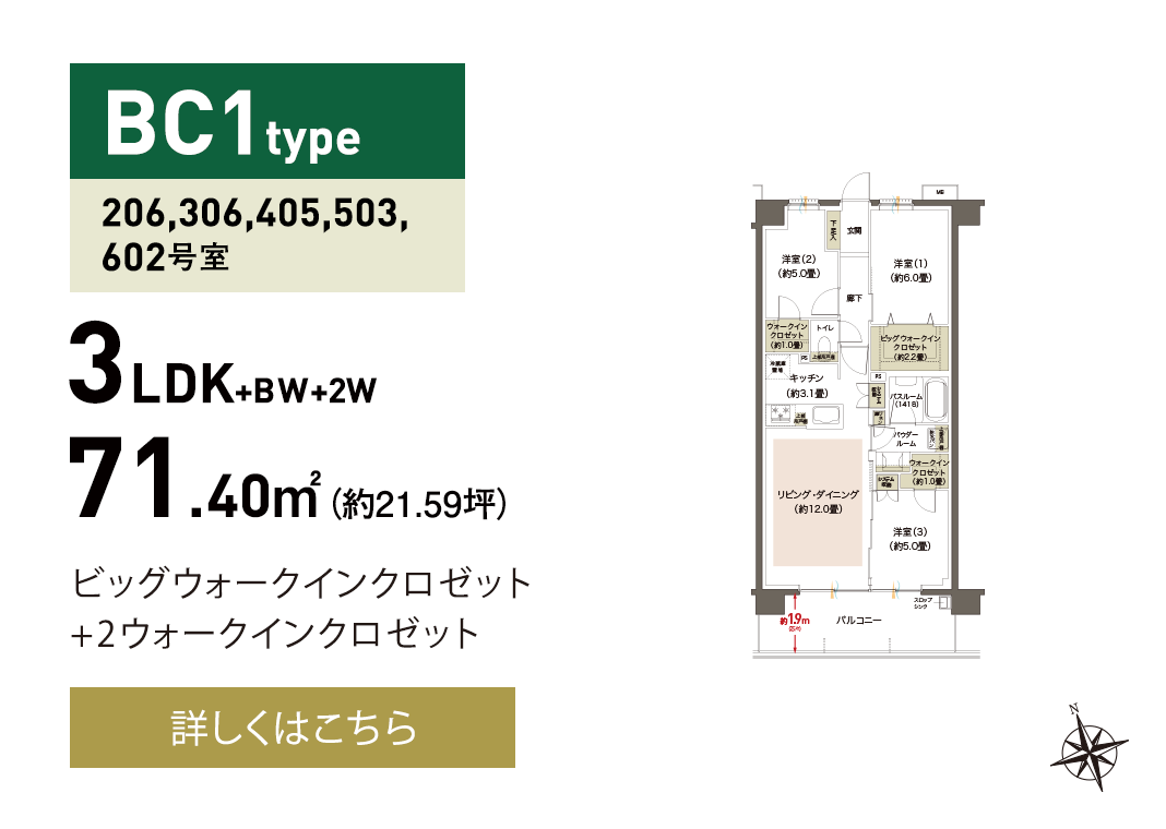 BC1 type