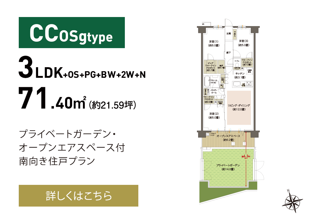 CCOSg type