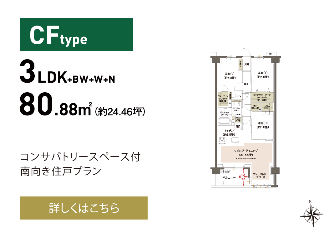 CF type