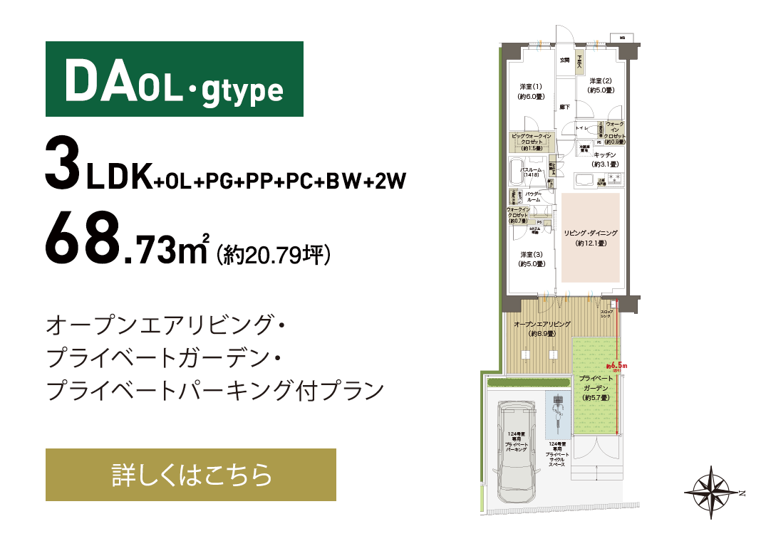 DAOLg type