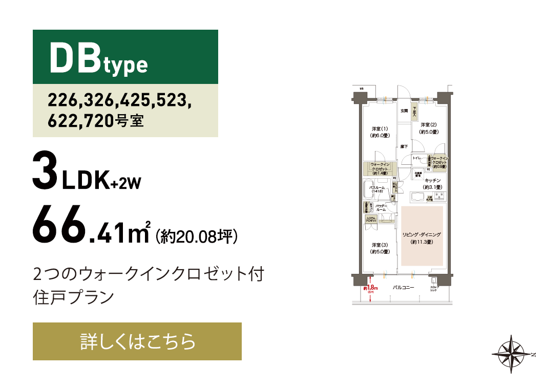 DB type