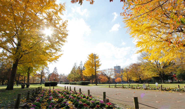 AUTUMN