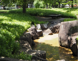 人工池（水辺の丘）