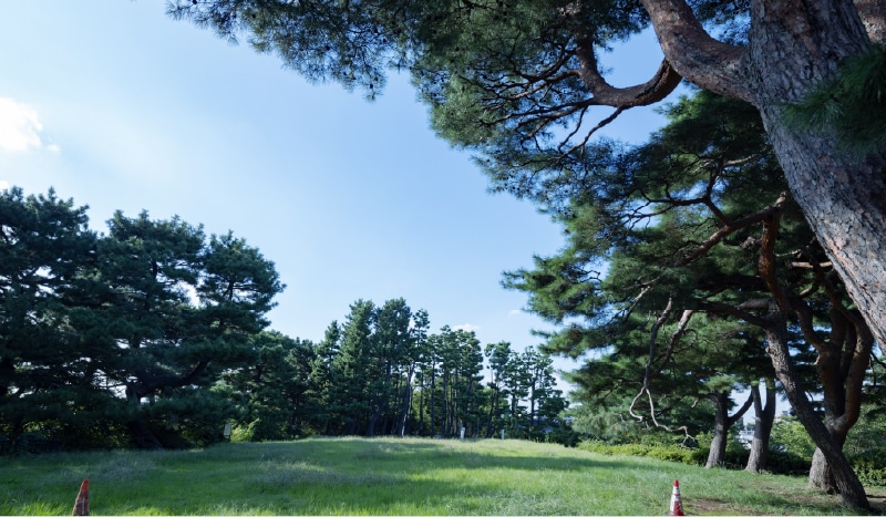鵜の木松山公園 （徒歩6分/約470m）
