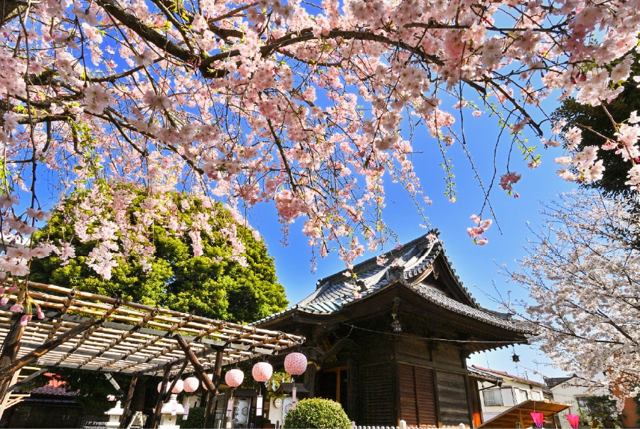 白山神社（約110m）