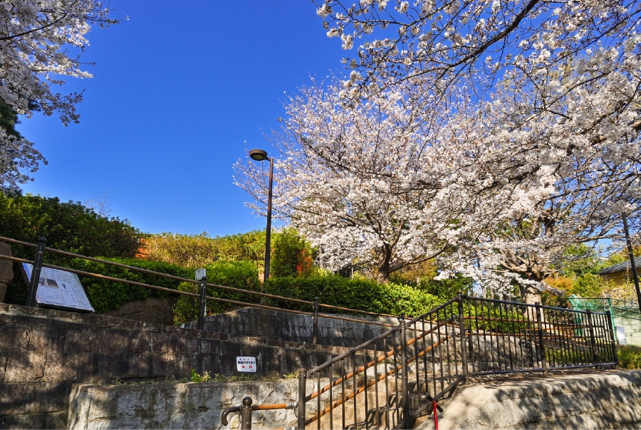 鵜の山公園（約470m）