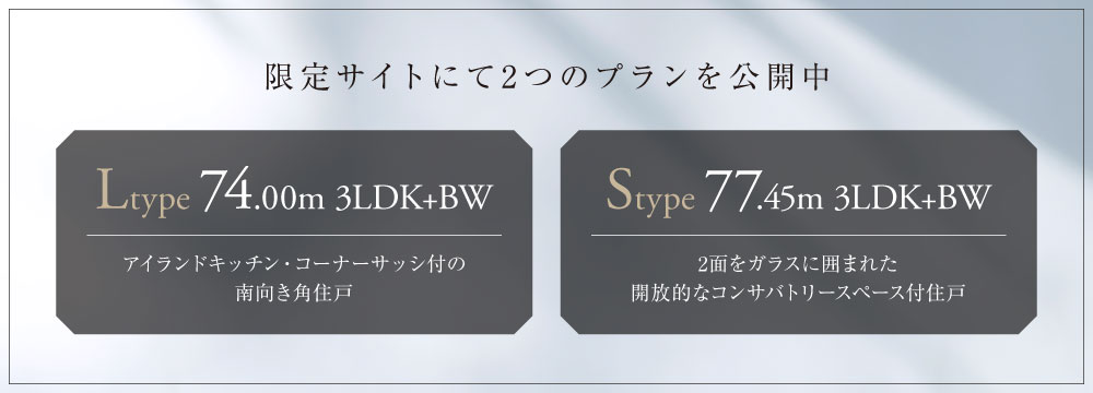 限定サイトにて2つのプランを公開中