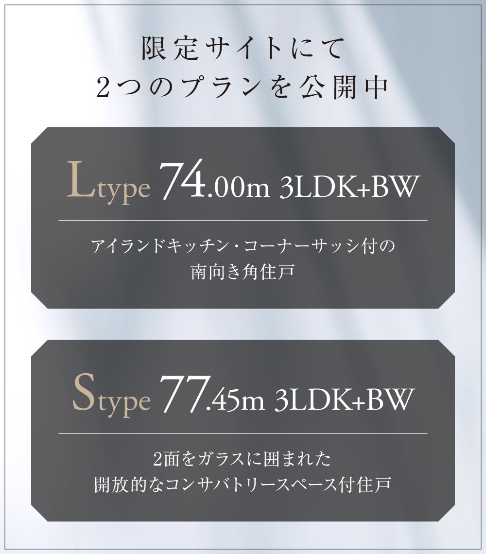 限定サイトにて2つのプランを公開中