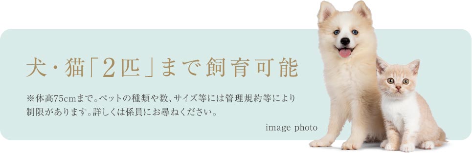 犬・猫「2匹」まで飼育可能