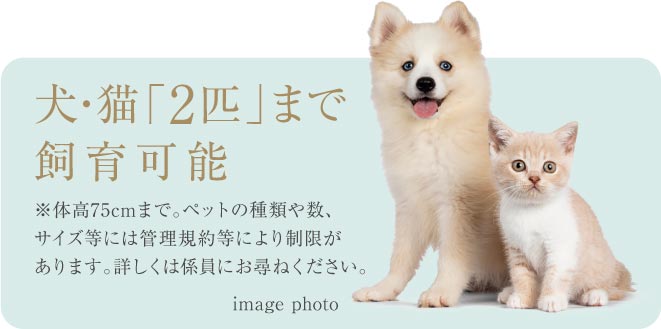 犬・猫「2匹」まで飼育可能