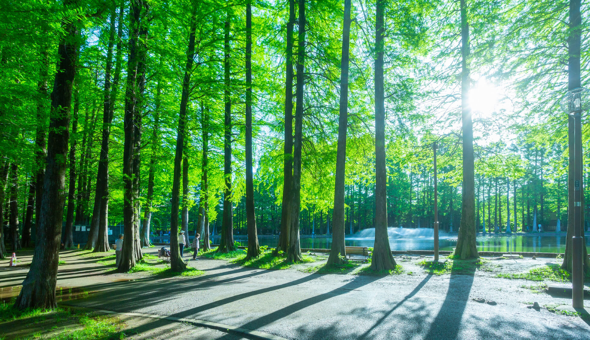 別所沼公園（徒歩8分／約590m）