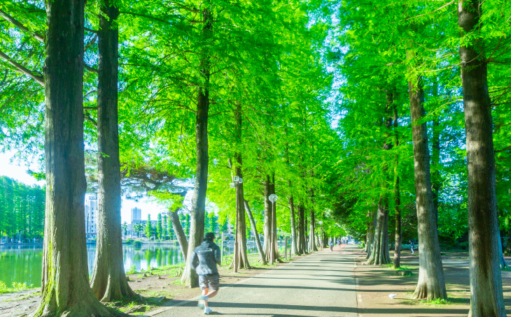別所沼公園