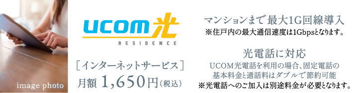 先進のメディア環境を備えたインターネットサービス