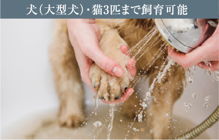 ペット足洗い場イメージ