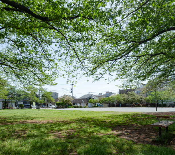 花保さくら公園