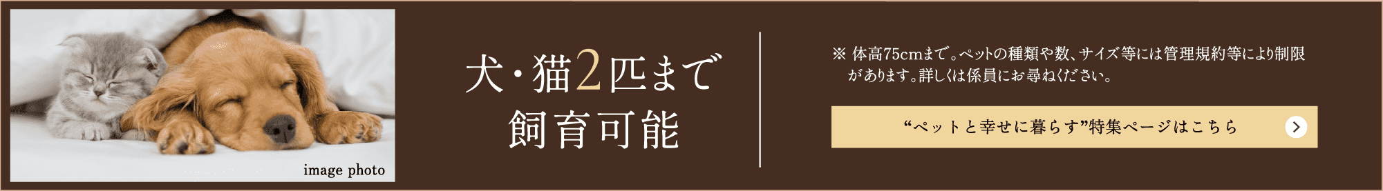 “ペットと幸せに暮らす”特集ページはこちら
