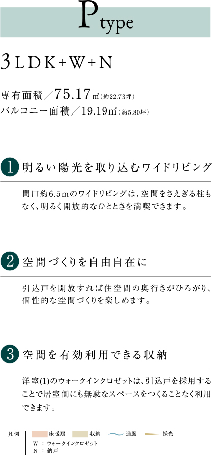 P type 詳細