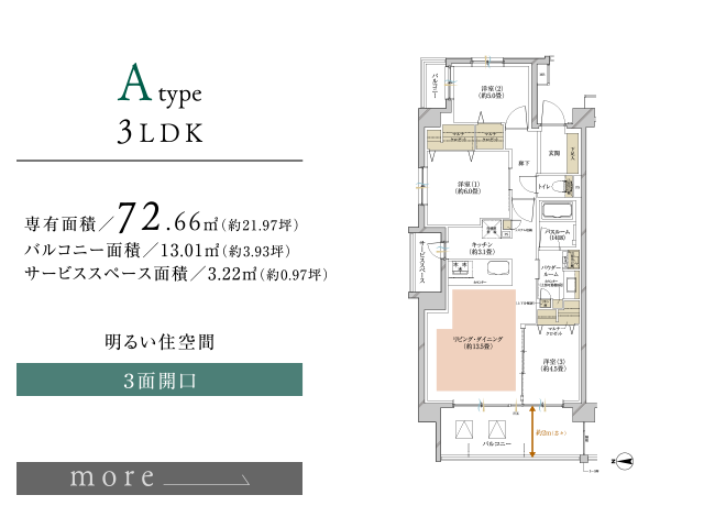 Aタイプ