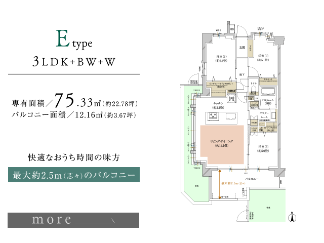 Eタイプ