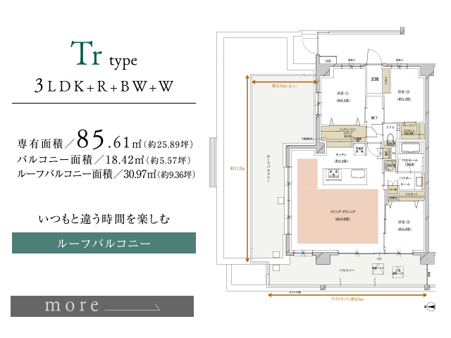 Trタイプ