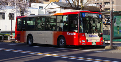 BUS ACCESS
