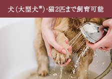 ペット足洗い場（ペット飼育可）
