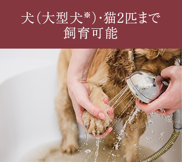 ペット足洗い場（ペット飼育可）