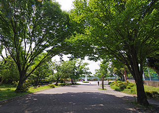 横山公園