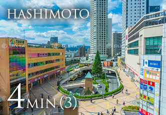 HASHIMOTO