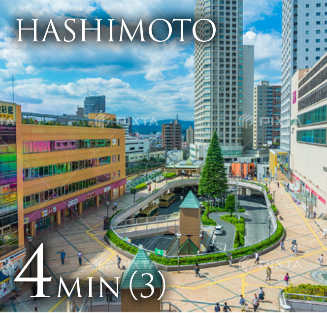HASHIMOTO