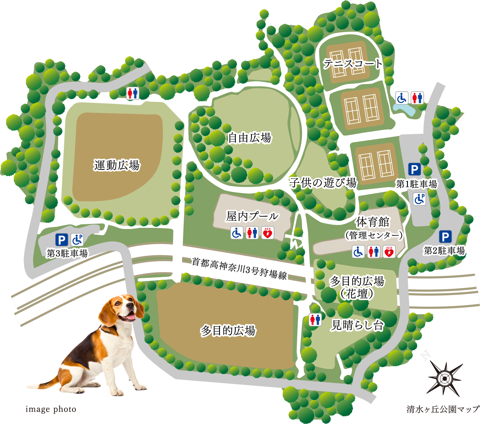 横浜市清水ケ丘公園マップ
