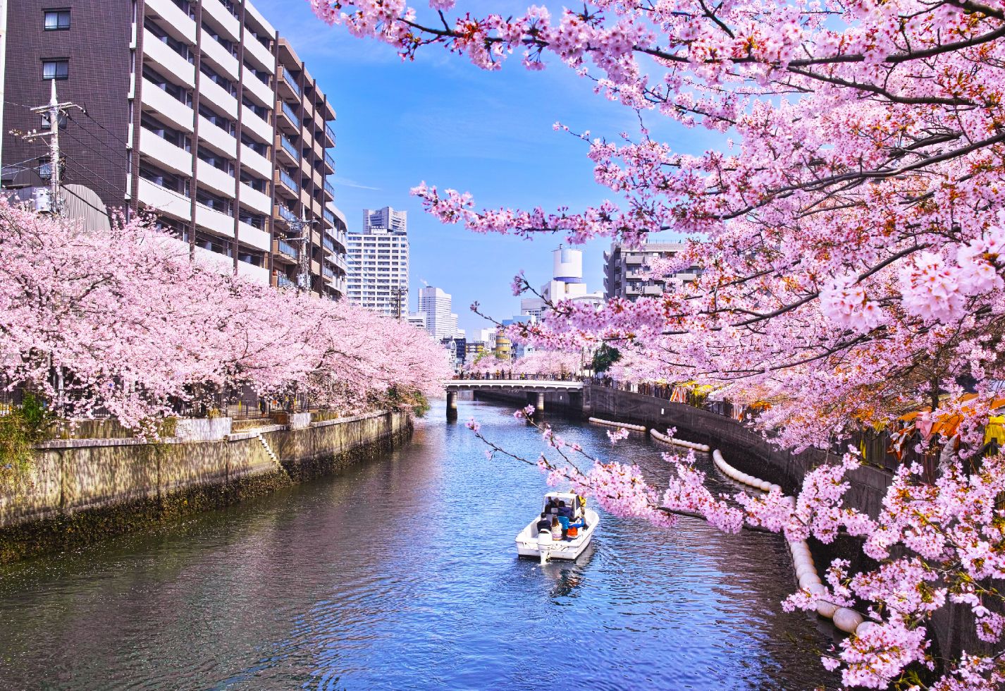 大岡川