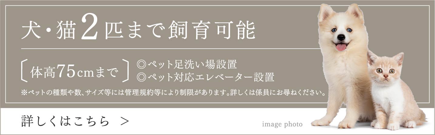 犬・猫「2匹」まで飼育可能